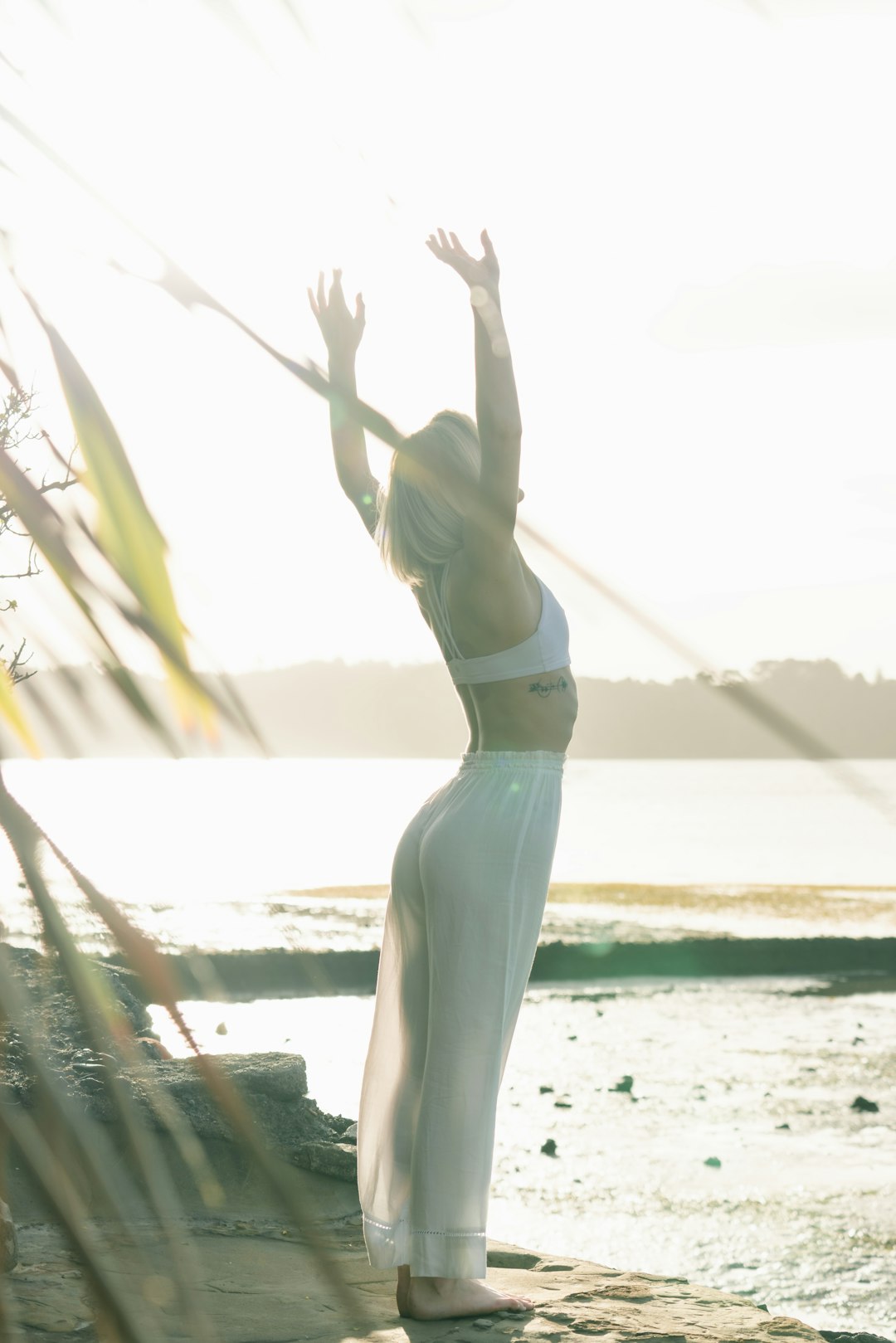 The Science of Sleep Cycles